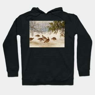 Partridges In Snow by Ferdinand von Wright Hoodie